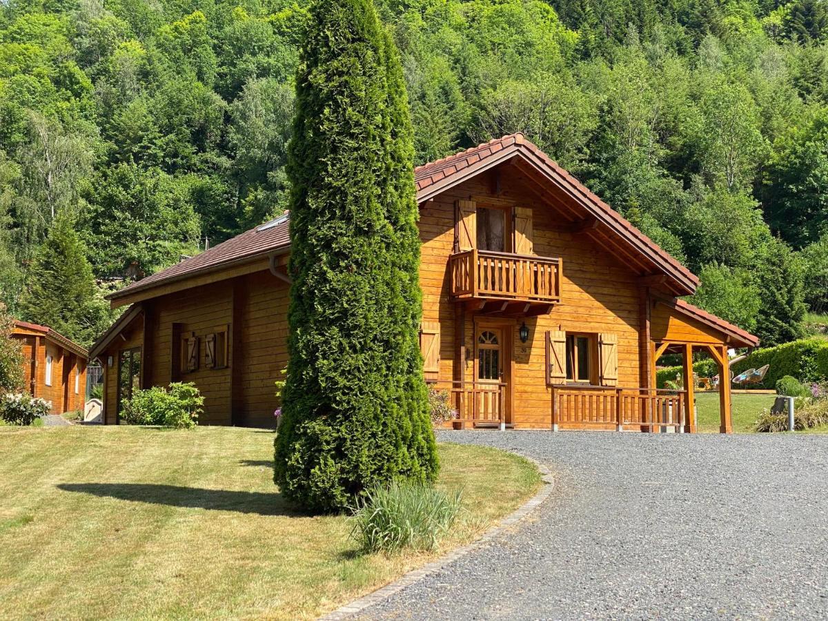 Avec Bain Nordique Et Piscine 11 Pers Hautes Vosges Chalet Plainfaing