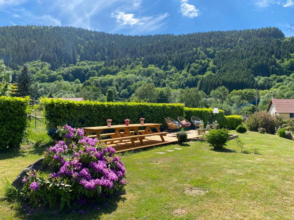 Avec Bain Nordique Et Piscine 11 Pers Hautes Vosges Chalet