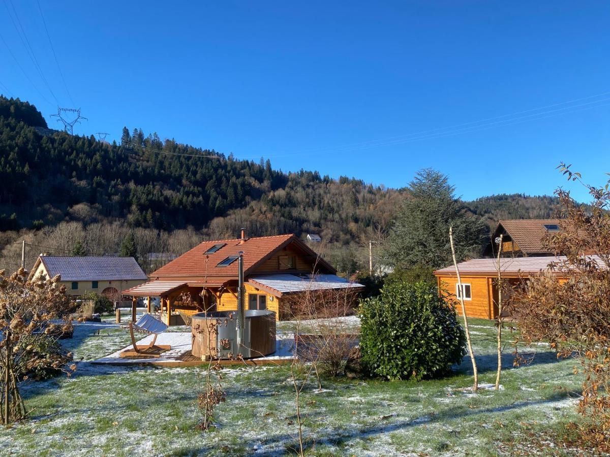 Avec Bain Nordique Et Piscine 11 Pers Hautes Vosges